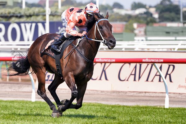 Luke Nolen & Black Caviar win Melbourne 2013