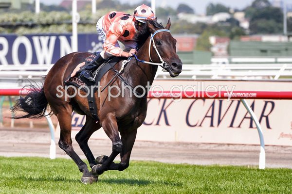Luke Nolen & Black Caviar win Melbourne 2013
