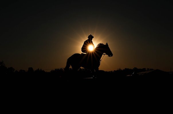 Horse prepares for Preakness Stakes Pimlico Race Course Baltimore Maryland 2023