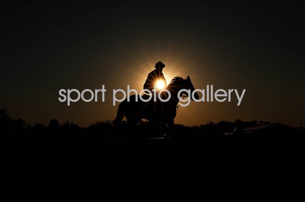 Horse prepares for Preakness Stakes Pimlico Race Course Baltimore Maryland 2023