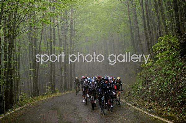 Peloton cycles through Forest Stage 10 Giro d'Italia 2023 