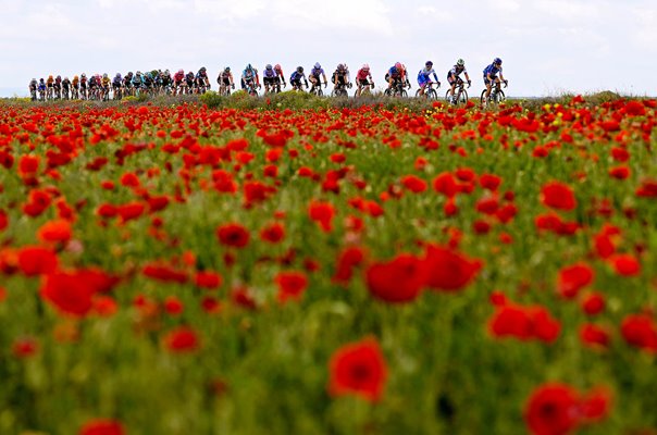 Peloton Stage 2 8th Vuelta a Burgos Feminas 2023 