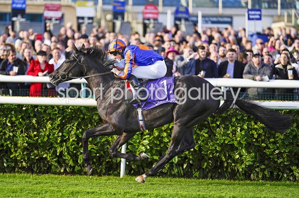 Ryan Moore rides 2023 Derby winner Auguste Rodin Doncaster 2022