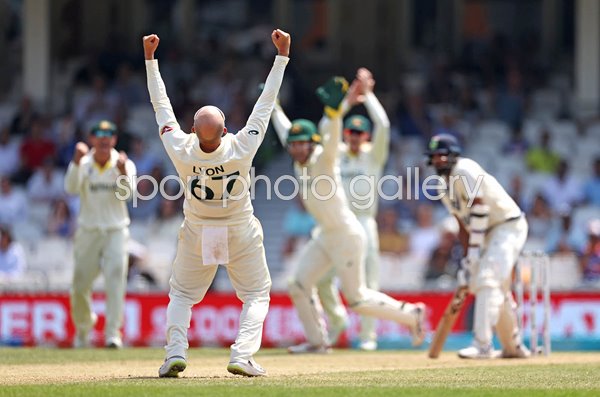 Nathan Lyon Australia celebrates wicket v India World Test Final 2023