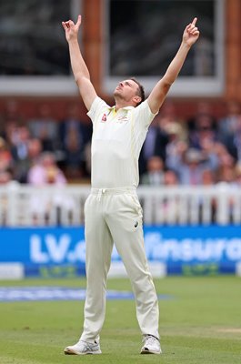 Josh Hazlewood Australia celebrates Ben Stokes wicket Lord's Ashes 2023
