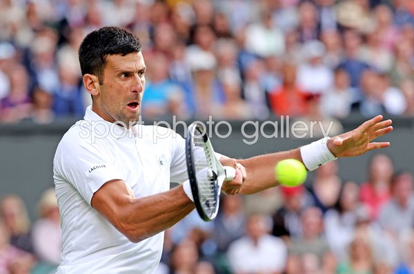 Novak Djokovic Serbia Forehand Focus Wimbledon 2023
