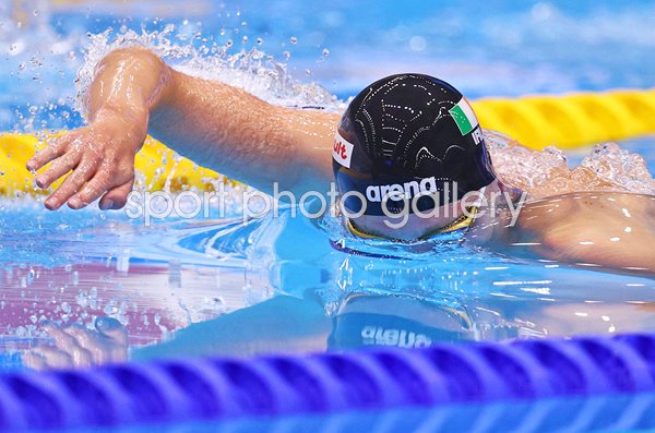Daniel Wiffen Ireland 800m Freestyle Final World Swimming Fukuoka 2023