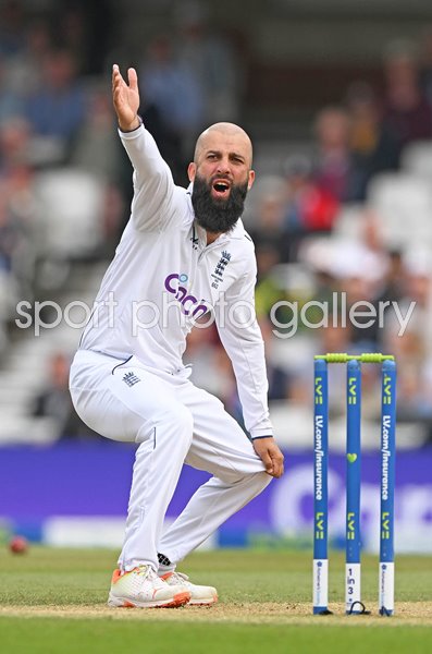 Moeen Ali England appeals v Australia Ashes 5th Test Oval 2023