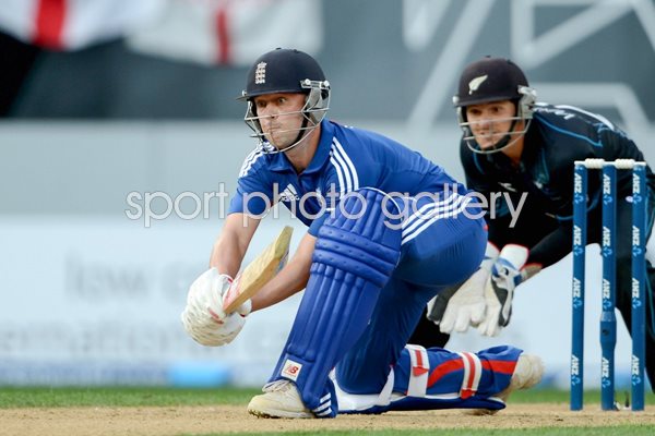 Jonathan Trott England v New Zealand 2013
