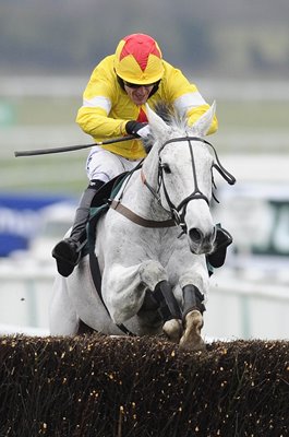 Tony McCoy riding Neptune Collonges Cheltenham Races 2011