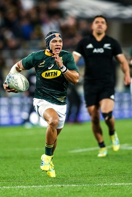 Cheslin Kolbe South Africa v New Zealand Rugby Championship Wellington 2018