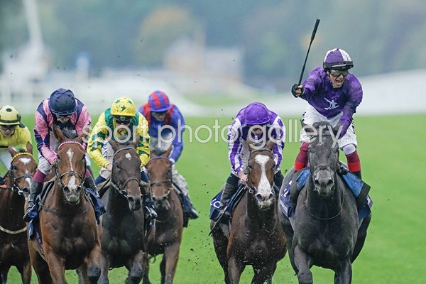 Frankie Dettori wins final UK race Champion Stakes Ascot 2023