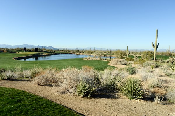 Dove Mountain , Marana, Arizona, USA