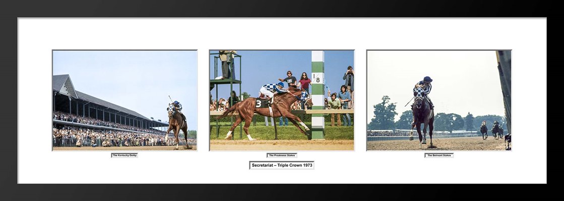 Secretariat 1973 Triple Crown Collage Presentation