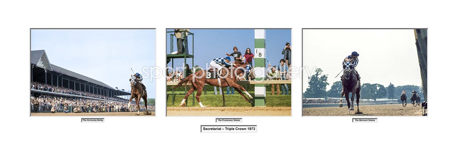 Secretariat 1973 Triple Crown Collage Presentation