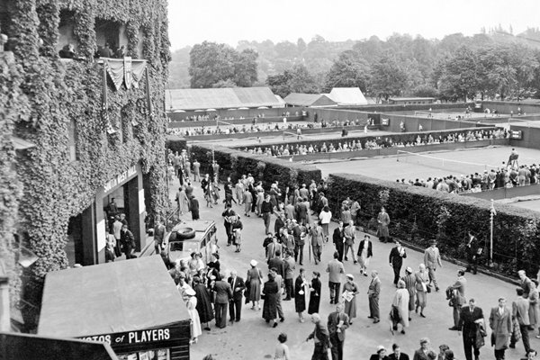 Wimbledon Tennis, 1954
