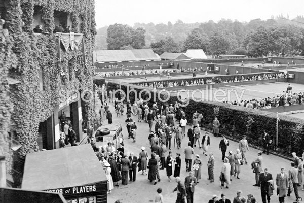 Wimbledon Tennis, 1954