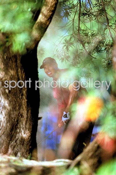 Tiger Woods United States Dubai Desert Classic 2001