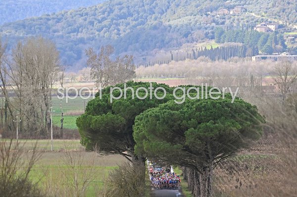 Women's elite race peloton rides countryside scene Strade Bianche 2024 