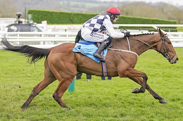 Paul Townend riding Ballyburn wins Gallagher Novices' Hurdle Cheltenham 2024 