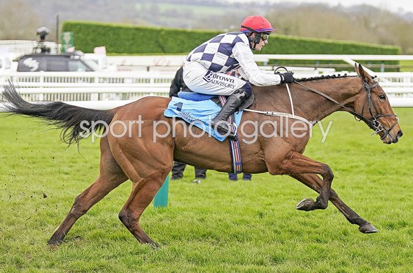 Paul Townend riding Ballyburn wins Gallagher Novices' Hurdle Cheltenham 2024 