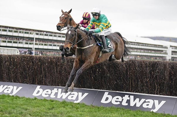 Mark Walsh riding Fact To File Brown Advisory Novices' Chase Cheltenham 2024