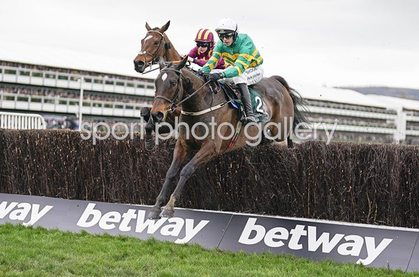 Mark Walsh riding Fact To File Brown Advisory Novices' Chase Cheltenham 2024