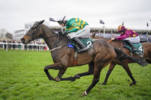 Mark Walsh riding Fact To File wins Brown Advisory Novices' Chase Cheltenham 2024 