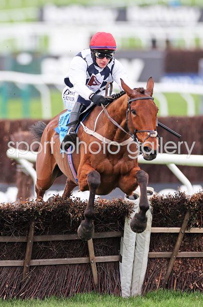 Paul Townend & Ballyburn jump last fence Gallagher Novices Hurdle Cheltenham 2024 