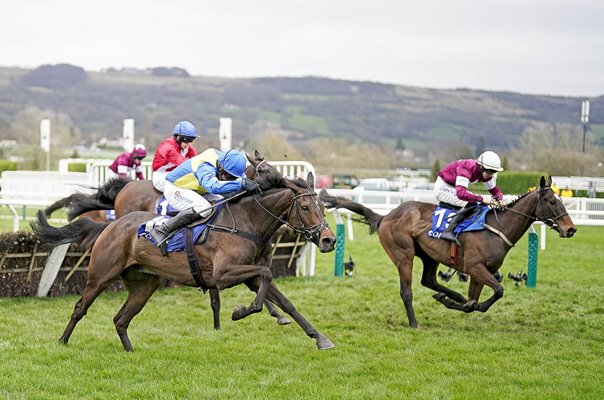 Harry Skelton riding Langer Dan win The Coral Cup Handicap Hurdle Cheltenham 2024 