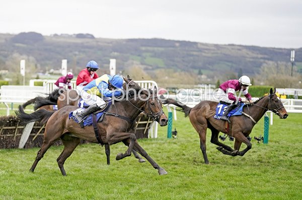 Harry Skelton riding Langer Dan win The Coral Cup Handicap Hurdle Cheltenham 2024 