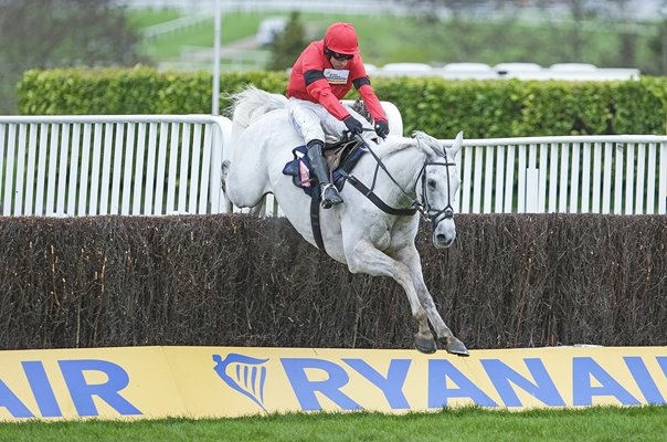 Harry Skelton & Grey Dawning clear last to win Turners Novices' Chase Cheltenham 2024