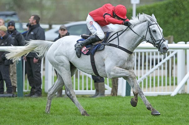 Harry Skelton & Grey Dawning win The Turners Novices' Chase Cheltenham 2024