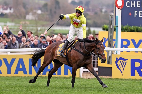 Harry Skelton riding Protektorat celebrates winning Ryanair Chase Cheltenham 2024