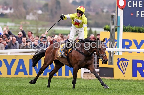 Harry Skelton riding Protektorat celebrates winning Ryanair Chase Cheltenham 2024