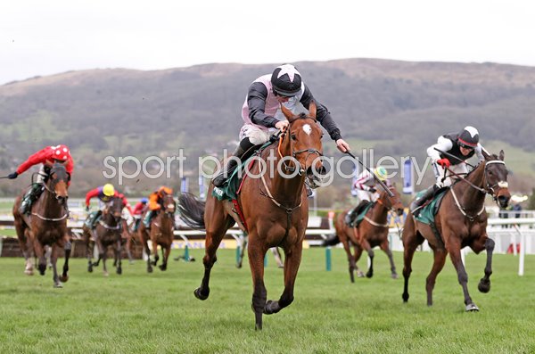 Teahupoo & Jack Kennedy win Stayers Hurdle Cheltenham Festival 2024