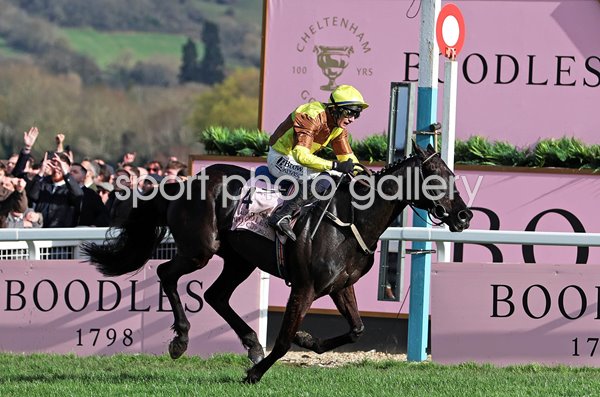 Paul Townend & Galopin Des Champs retain Gold Cup Cheltenham 2024