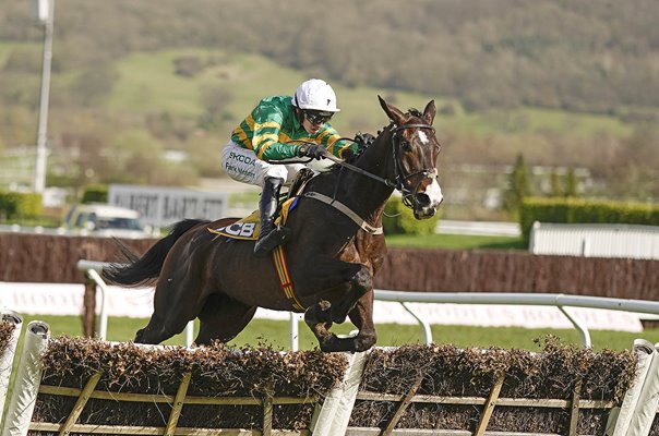 Mark Walsh riding Majborough wins The JCB Triumph Hurdle Cheltenham 2024 