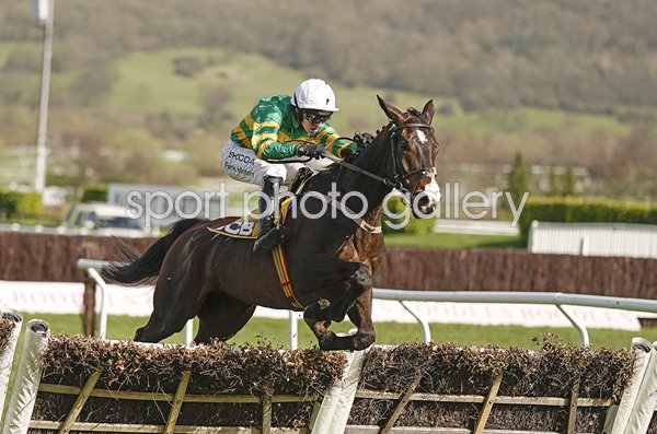 Mark Walsh riding Majborough wins The JCB Triumph Hurdle Cheltenham 2024 