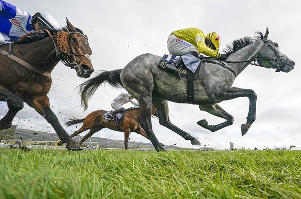 Absurde ridden by Paul Townend County Handicap Hurdle Cheltenham 2024