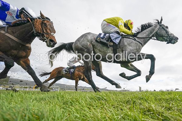 Absurde ridden by Paul Townend County Handicap Hurdle Cheltenham 2024