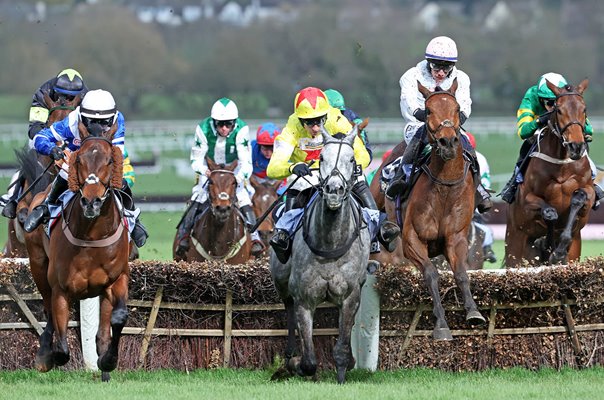 Absurde ridden by Paul Townend wins County Handicap Hurdle Cheltenham 2024 