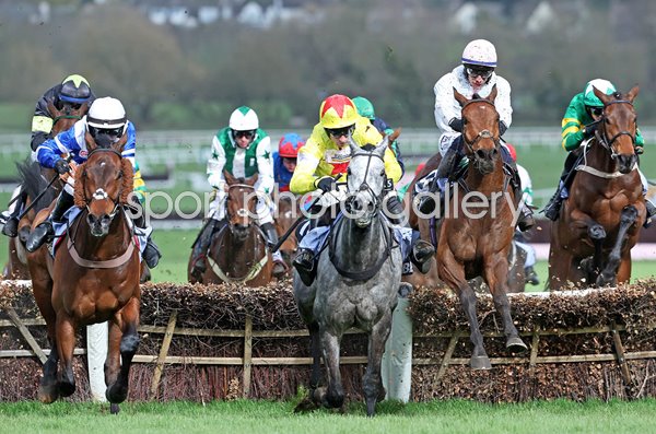 Absurde ridden by Paul Townend wins County Handicap Hurdle Cheltenham 2024