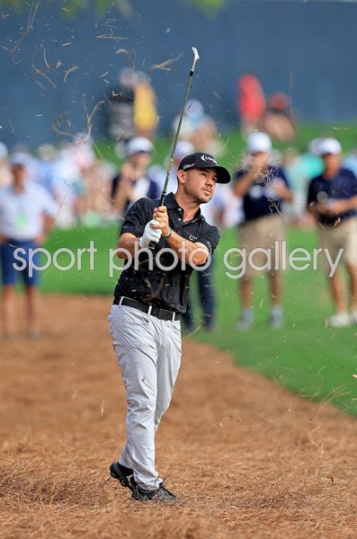 Brian Harman USA 18th hole pine straw Players Championship TPC Sawgrass 2024