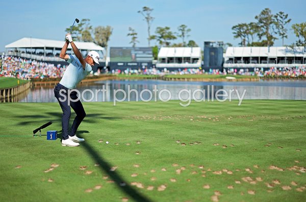 Will Zalatoris USA 17th tee The Players Championship TPC Sawgrass 2024