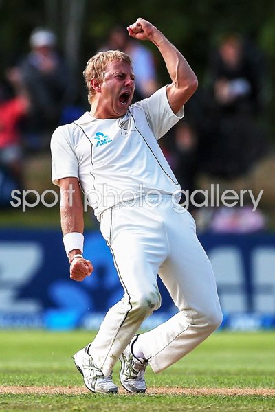 Neil Wagner New Zealand v England 2013