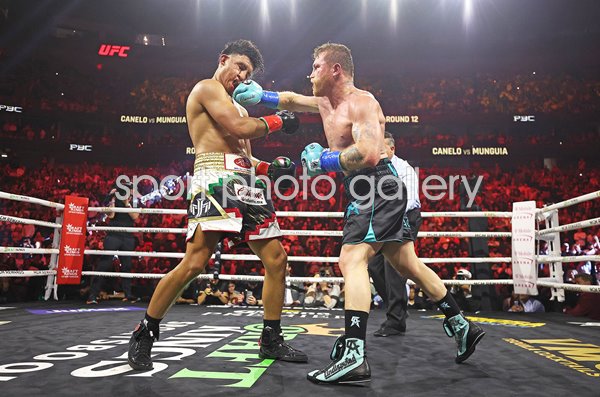 Canelo Alvarez lands punch v Jaime Munguia Title Fight Las Vegas 2024