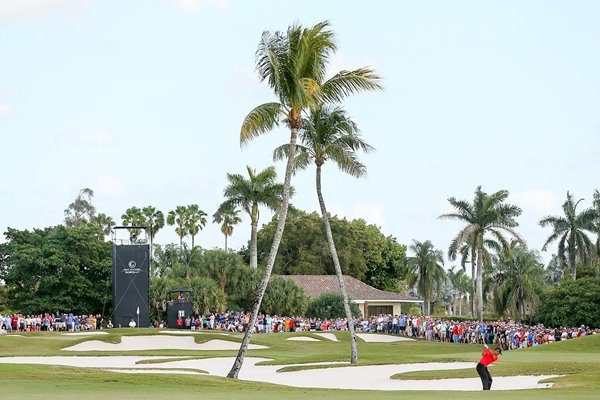 Tiger Woods WGC Doral 11th hole 2013