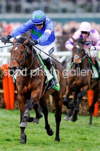 Ruby Walsh & Hurricane Fly win Cheltenham 2013