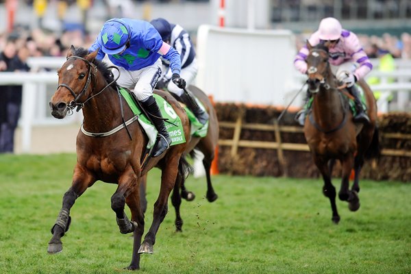 Hurricane Fly & Ruby Walsh win 2013 Champion Hurdle